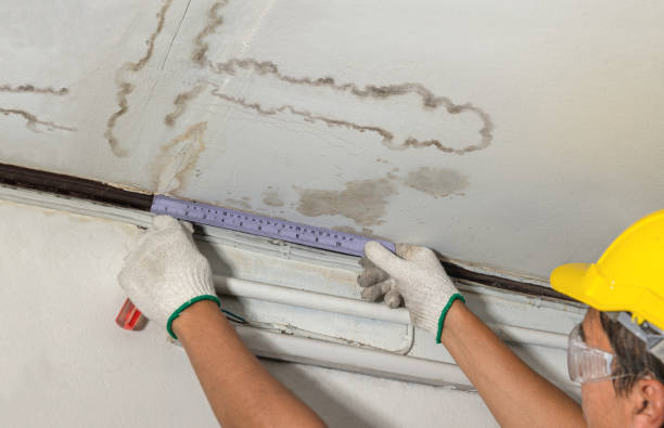 Reliable Water Extraction contractor in Zarephath, NJ by Water Damage Irwin